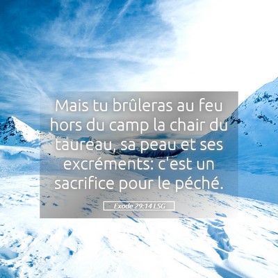 Picture 05 - Exode 29:14 LSG - Mais tu brûleras au feu hors du camp la chair du - Bible Verse Picture