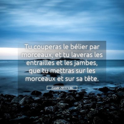 Picture 05 - Exode 29:17 LSG - Tu couperas le bélier par morceaux, et tu - Bible Verse Picture
