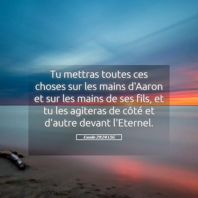 Picture 05 - Exode 29:24 LSG - Tu mettras toutes ces choses sur les mains - Bible Verse Picture