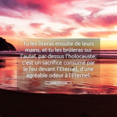 Picture 05 - Exode 29:25 LSG - Tu les ôteras ensuite de leurs mains, et tu les - Bible Verse Picture