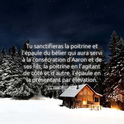 Picture 05 - Exode 29:27 LSG - Tu sanctifieras la poitrine et l'épaule du - Bible Verse Picture