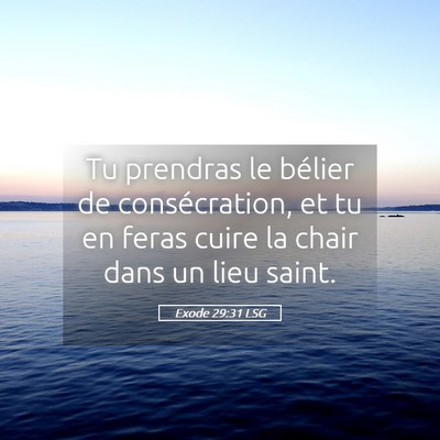 Picture 05 - Exode 29:31 LSG - Tu prendras le bélier de consécration, et tu en - Bible Verse Picture