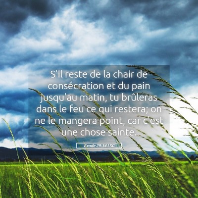Picture 05 - Exode 29:34 LSG - S'il reste de la chair de consécration et du - Bible Verse Picture