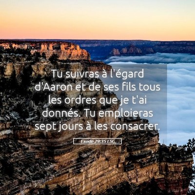 Picture 05 - Exode 29:35 LSG - Tu suivras à l'égard d'Aaron et de ses fils - Bible Verse Picture