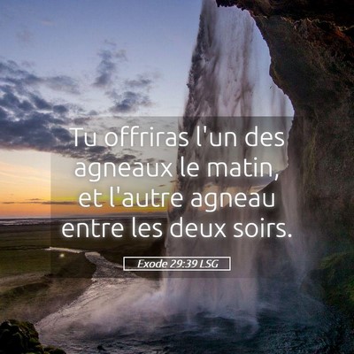 Picture 05 - Exode 29:39 LSG - Tu offriras l'un des agneaux le matin, et l'autre - Bible Verse Picture
