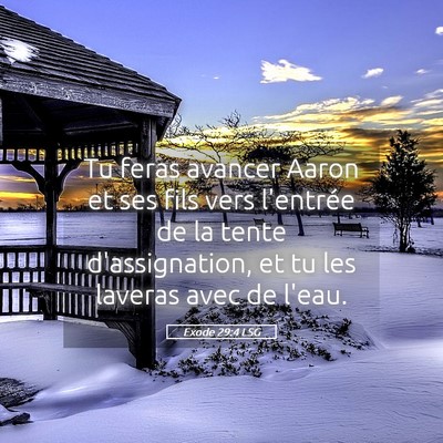 Picture 05 - Exode 29:4 LSG - Tu feras avancer Aaron et ses fils vers l'entrée - Bible Verse Picture