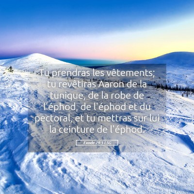 Picture 05 - Exode 29:5 LSG - Tu prendras les vêtements; tu revêtiras Aaron - Bible Verse Picture