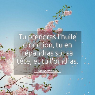 Picture 05 - Exode 29:7 LSG - Tu prendras l'huile d'onction, tu en répandras - Bible Verse Picture