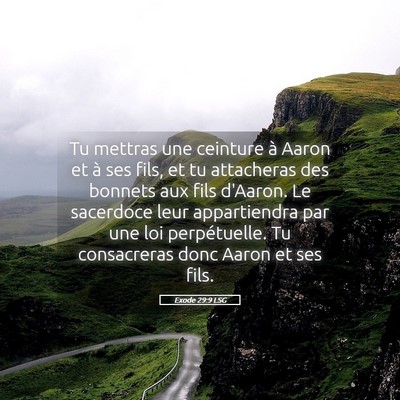 Picture 05 - Exode 29:9 LSG - Tu mettras une ceinture à Aaron et à ses fils, - Bible Verse Picture