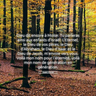 Picture 05 - Exode 3:15 LSG - Dieu dit encore à Moïse: Tu parleras ainsi aux - Bible Verse Picture