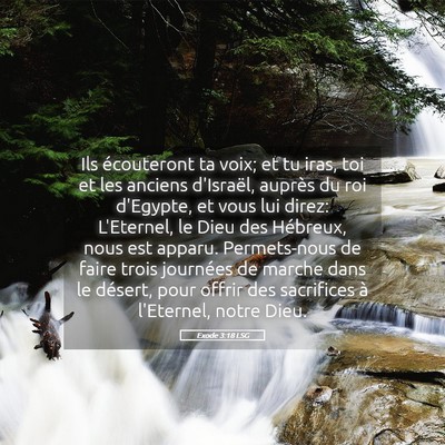 Picture 05 - Exode 3:18 LSG - Ils écouteront ta voix; et tu iras, toi et les - Bible Verse Picture