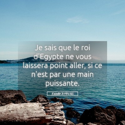 Picture 05 - Exode 3:19 LSG - Je sais que le roi d'Egypte ne vous laissera - Bible Verse Picture
