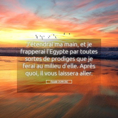 Picture 05 - Exode 3:20 LSG - J'étendrai ma main, et je frapperai l'Egypte par - Bible Verse Picture