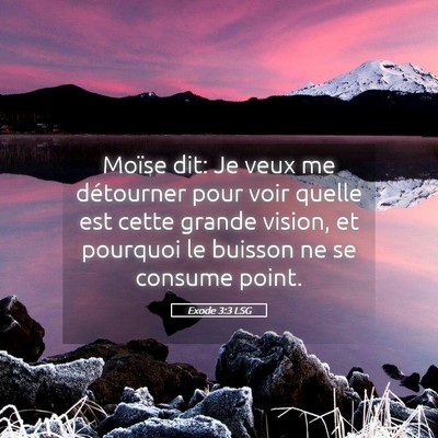 Picture 05 - Exode 3:3 LSG - Moïse dit: Je veux me détourner pour voir - Bible Verse Picture