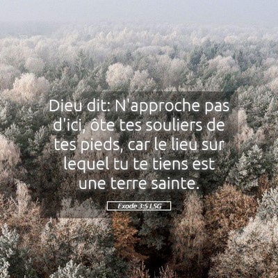 Picture 05 - Exode 3:5 LSG - Dieu dit: N'approche pas d'ici, ôte tes souliers - Bible Verse Picture
