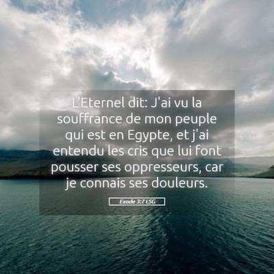 Picture 05 - Exode 3:7 LSG - L'Eternel dit: J'ai vu la souffrance de mon - Bible Verse Picture