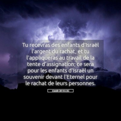 Picture 05 - Exode 30:16 LSG - Tu recevras des enfants d'Israël l'argent du - Bible Verse Picture