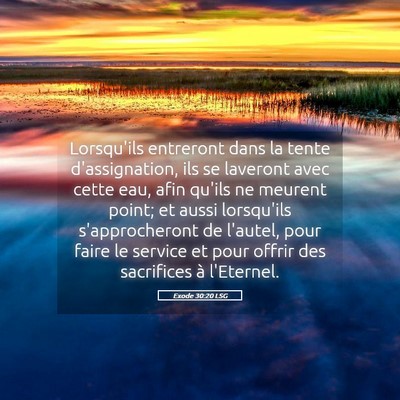 Picture 05 - Exode 30:20 LSG - Lorsqu'ils entreront dans la tente d'assignation, - Bible Verse Picture