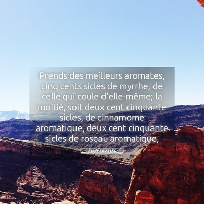 Picture 05 - Exode 30:23 LSG - Prends des meilleurs aromates, cinq cents sicles - Bible Verse Picture