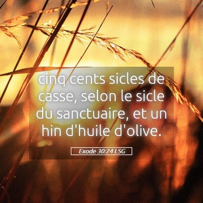 Picture 05 - Exode 30:24 LSG - cinq cents sicles de casse, selon le sicle du - Bible Verse Picture