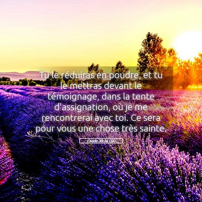 Picture 05 - Exode 30:36 LSG - Tu le réduiras en poudre, et tu le mettras - Bible Verse Picture