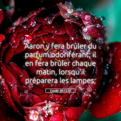 Picture 05 - Exode 30:7 LSG - Aaron y fera brûler du parfum odoriférant; il - Bible Verse Picture