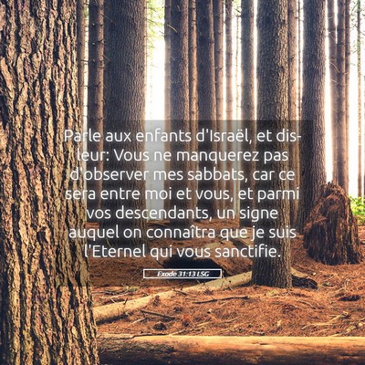 Picture 05 - Exode 31:13 LSG - Parle aux enfants d'Israël, et dis-leur: Vous ne - Bible Verse Picture