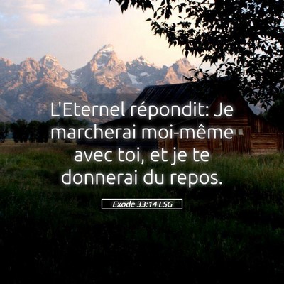 Picture 05 - Exode 33:14 LSG - L'Eternel répondit: Je marcherai moi-même avec - Bible Verse Picture