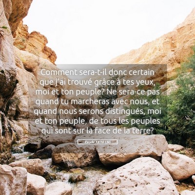 Picture 05 - Exode 33:16 LSG - Comment sera-t-il donc certain que j'ai trouvé - Bible Verse Picture