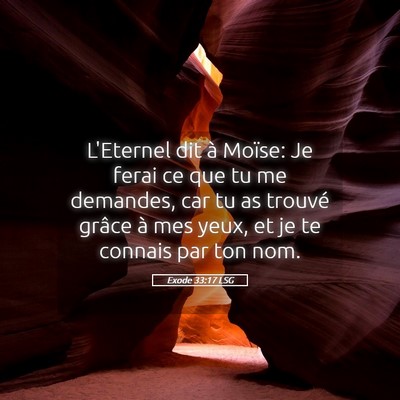 Picture 05 - Exode 33:17 LSG - L'Eternel dit à Moïse: Je ferai ce que tu me - Bible Verse Picture