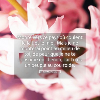 Picture 05 - Exode 33:3 LSG - Monte vers ce pays où coulent le lait et le - Bible Verse Picture