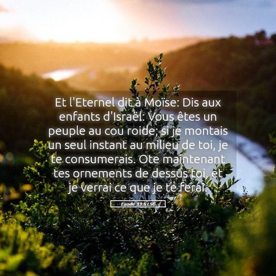 Picture 05 - Exode 33:5 LSG - Et l'Eternel dit à Moïse: Dis aux enfants - Bible Verse Picture