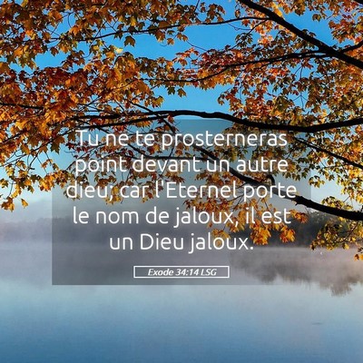 Picture 05 - Exode 34:14 LSG - Tu ne te prosterneras point devant un autre dieu; - Bible Verse Picture