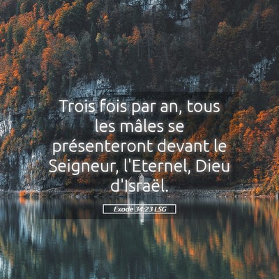 Picture 05 - Exode 34:23 LSG - Trois fois par an, tous les mâles se - Bible Verse Picture