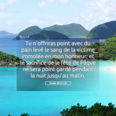 Picture 05 - Exode 34:25 LSG - Tu n'offriras point avec du pain levé le sang de - Bible Verse Picture