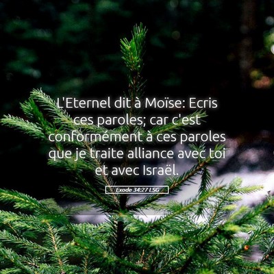 Picture 05 - Exode 34:27 LSG - L'Eternel dit à Moïse: Ecris ces paroles; car - Bible Verse Picture
