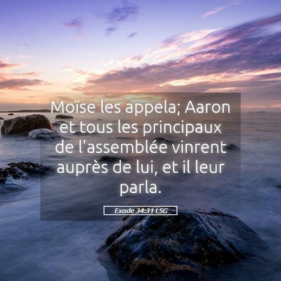 Picture 05 - Exode 34:31 LSG - Moïse les appela; Aaron et tous les principaux - Bible Verse Picture