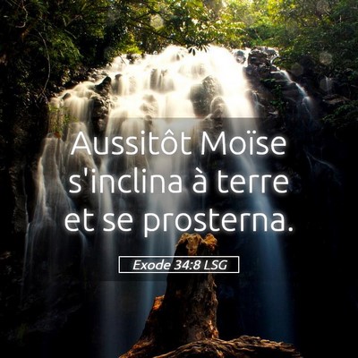 Picture 05 - Exode 34:8 LSG - Aussitôt Moïse s'inclina à terre et se - Bible Verse Picture