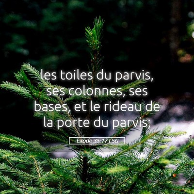 Picture 05 - Exode 35:17 LSG - les toiles du parvis, ses colonnes, ses bases, et - Bible Verse Picture