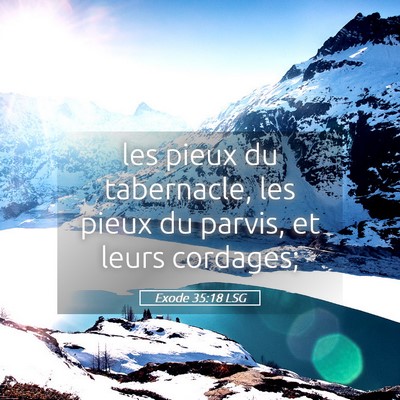 Picture 05 - Exode 35:18 LSG - les pieux du tabernacle, les pieux du parvis, et - Bible Verse Picture