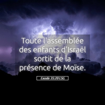 Picture 05 - Exode 35:20 LSG - Toute l'assemblée des enfants d'Israël sortit - Bible Verse Picture
