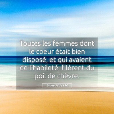 Picture 05 - Exode 35:26 LSG - Toutes les femmes dont le coeur était bien - Bible Verse Picture