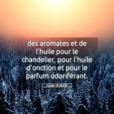 Picture 05 - Exode 35:28 LSG - des aromates et de l'huile pour le chandelier, - Bible Verse Picture