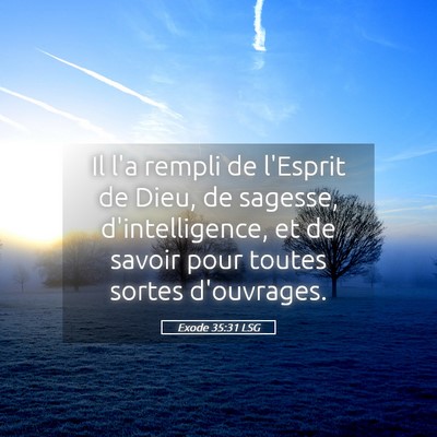 Picture 05 - Exode 35:31 LSG - Il l'a rempli de l'Esprit de Dieu, de sagesse, - Bible Verse Picture