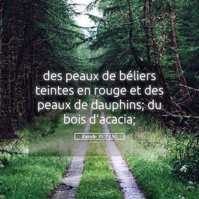 Picture 05 - Exode 35:7 LSG - des peaux de béliers teintes en rouge et des - Bible Verse Picture