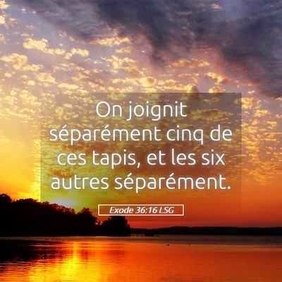 Picture 05 - Exode 36:16 LSG - On joignit séparément cinq de ces tapis, et les - Bible Verse Picture