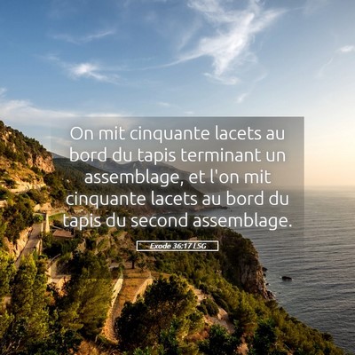 Picture 05 - Exode 36:17 LSG - On mit cinquante lacets au bord du tapis - Bible Verse Picture