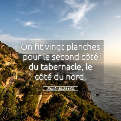 Picture 05 - Exode 36:25 LSG - On fit vingt planches pour le second côté du - Bible Verse Picture