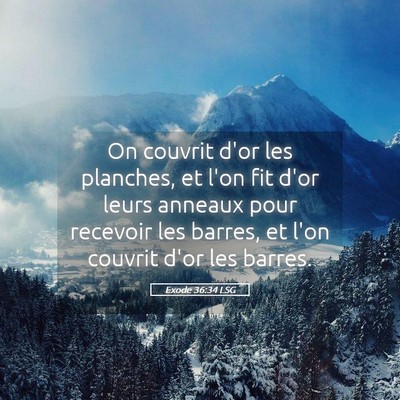 Picture 05 - Exode 36:34 LSG - On couvrit d'or les planches, et l'on fit d'or - Bible Verse Picture