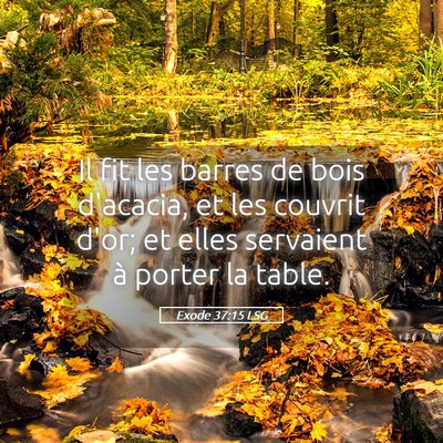 Picture 05 - Exode 37:15 LSG - Il fit les barres de bois d'acacia, et les - Bible Verse Picture